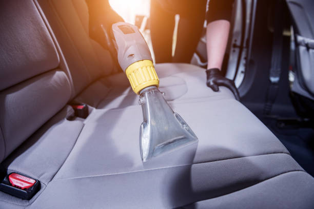 Revitalize Your Furniture: The Benefits of Professional Upholstery Cleaning