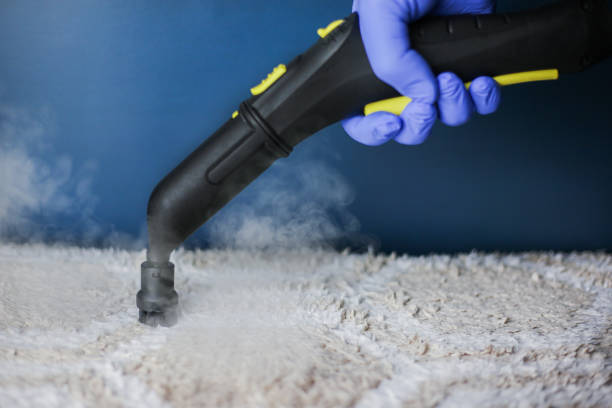 Steam vs. Dry Carpet Cleaning: Which is Right for You?